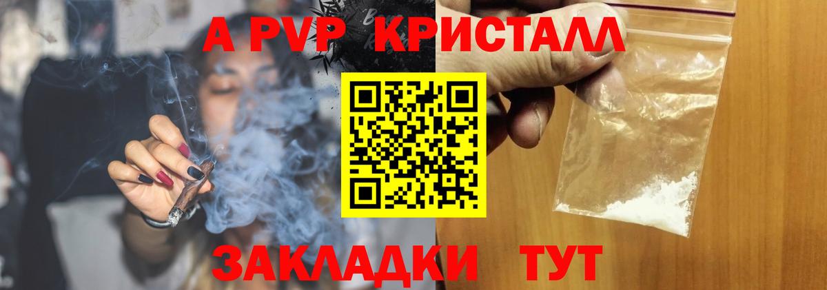 Alfa_PVP СК Урус-Мартан