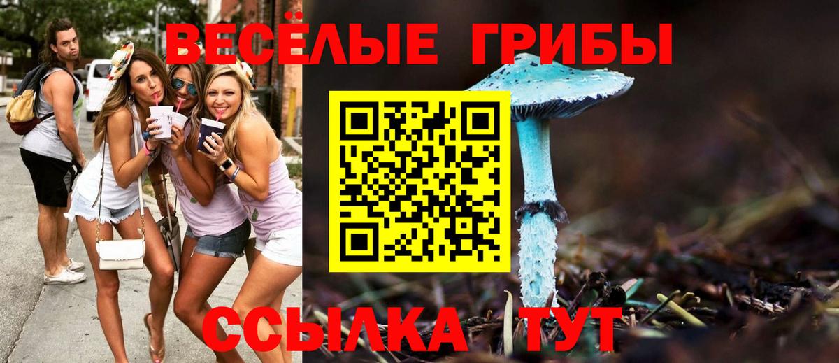 Галлюциногенные грибы GOLDEN TEACHER  закладка  Урус-Мартан  Псилоцибиновые грибы Psilocybe  Вход с VPN 